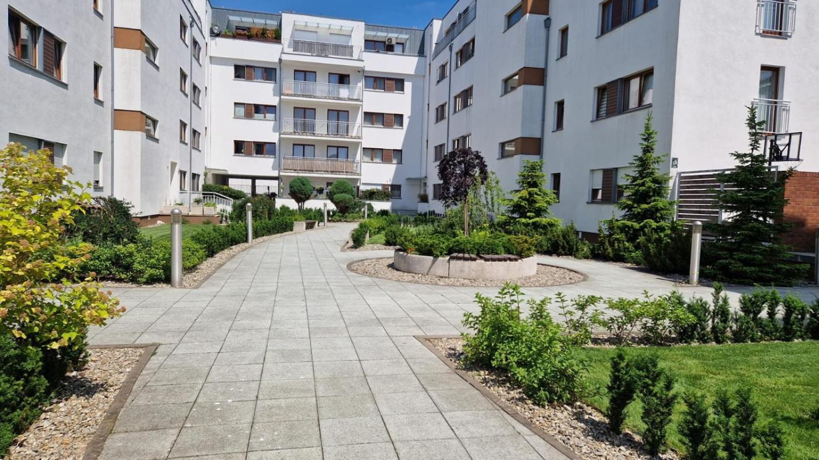 Przytulny - Platan Apartment *